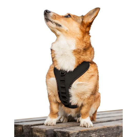 Sport Harness