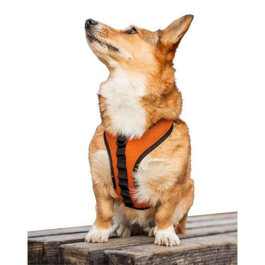 Sport Harness