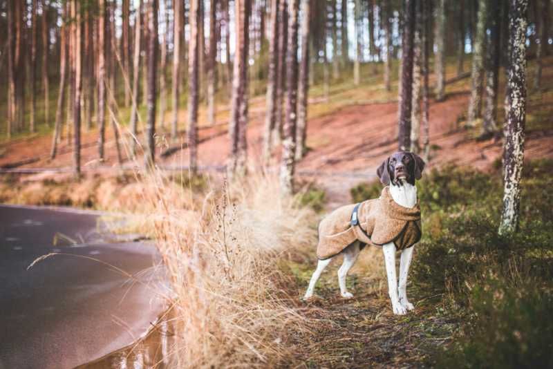 Rukka Coat - Comfy Technical Knit Fleece - Averys Motorcycles