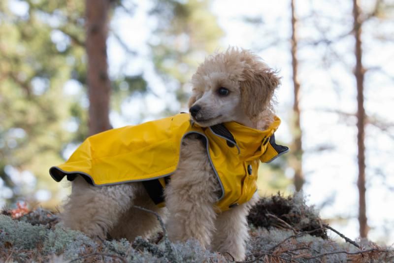 Rukka Coat - Stream Raincoat - Averys Motorcycles
