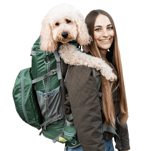 Introducing K9 Sport Sack